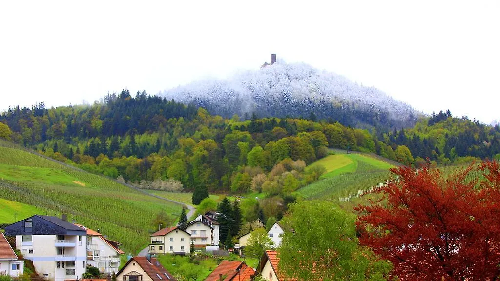Hotel Rebstock Baden-Baden Germania