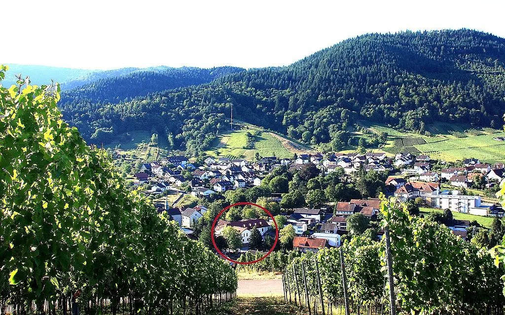 ****  Hotel Rebstock Baden-Baden Germany